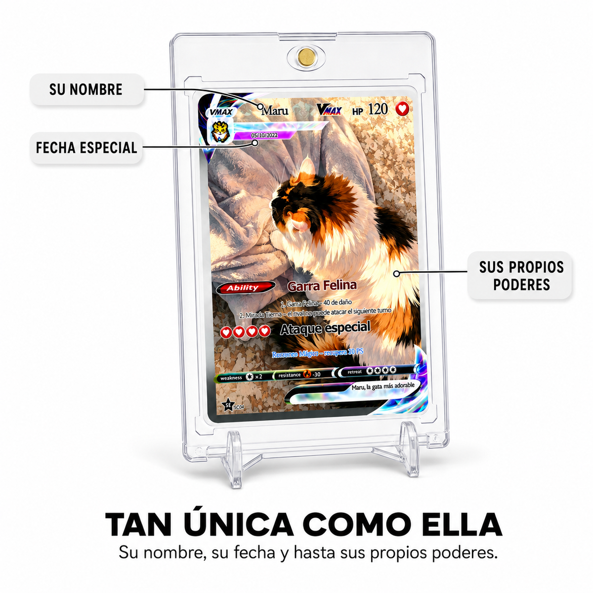 Carta Personalizada de tu Mascota